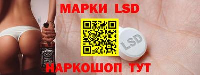 Альфа ПВП Дубна