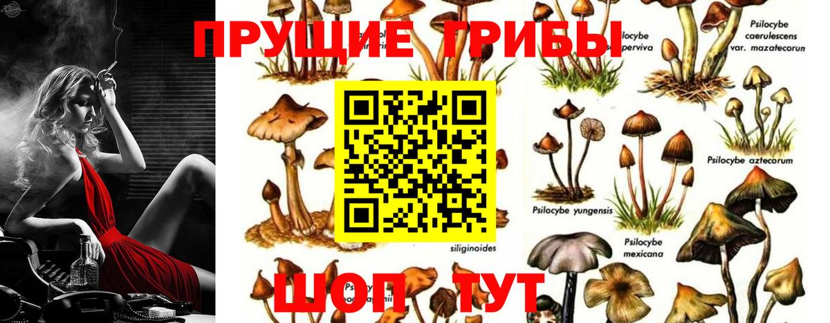 Галлюциногенные грибы мухоморы Карасук