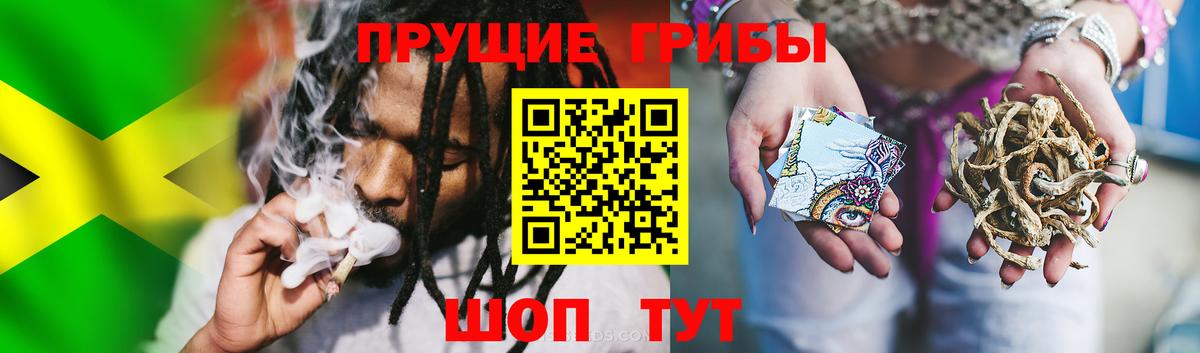 Галлюциногенные грибы Magic Shrooms  Вход с VPN  Карасук 